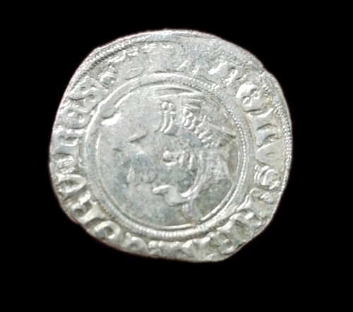 Carlo viii liardo del - carlo, delfino