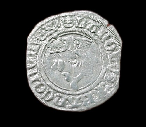 Carlo viii liardo - del, delfino